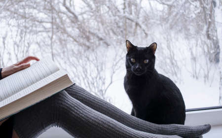 Reading woman with long socks sitting with black cat by the window with winter viewの写真素材