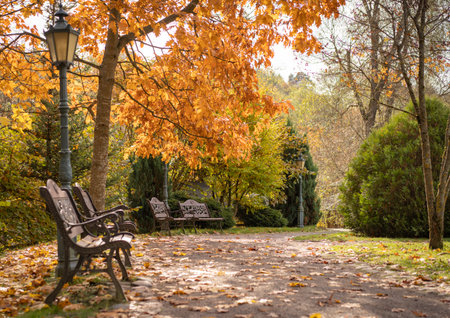 Autumn park with benchの写真素材