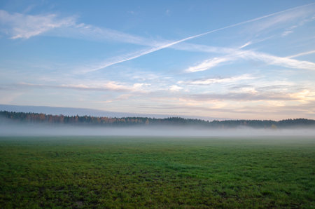 A calm morning overlooking a field of green grass and a white misty horizon. Blue sky with lines of airplanes.の写真素材