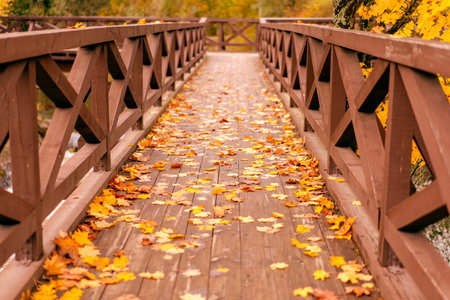 Wooden bridge covered with fallen autumn leaves in a park. Warm fall colors, peaceful seasonal landscape, nature backgroundの写真素材