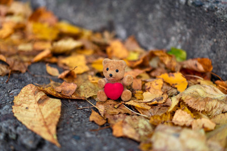 Cute beige bear toy holding a red heart in autumn leaves, symbolizing love, warmth and coziness of the fall seasonの写真素材