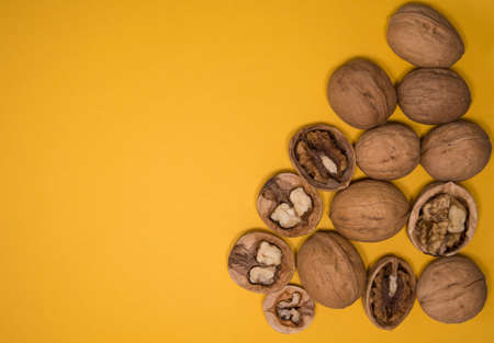 Walnuts on mustard background. Walnuts whole and open.の写真素材