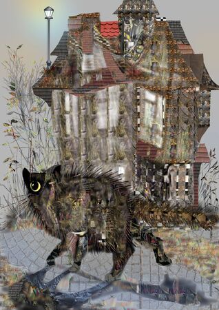 Spooky cute cat looking around scared, in front of an old house, illustration over a gray backgroundの写真素材