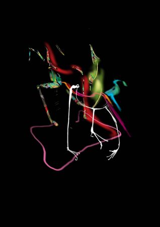 abstract colorful structure on black, insect, lines, music, animalの写真素材