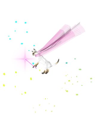 a cute white fairy cat with a wand flying in the sky filled with colorful stars, 3D illustrationの写真素材
