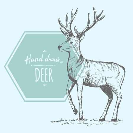 Hand drawn cute deerのイラスト素材