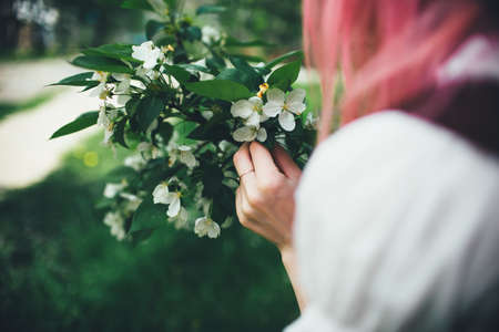 The beautiful girl with pink hair walks among the blossoming apple-tree in the summerの写真素材