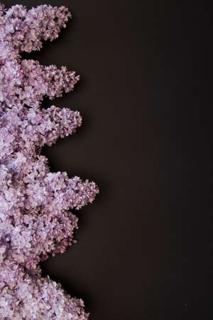 Lilac on the black flatlay.の写真素材