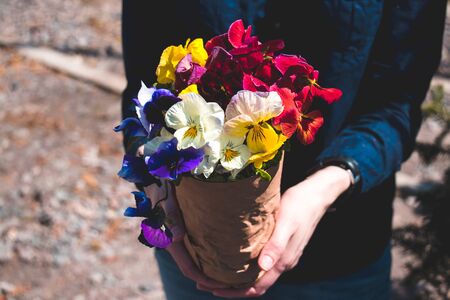 Colorfull bouquet of pansies in a craft paper in a womans hand. Spring`s concept.の写真素材