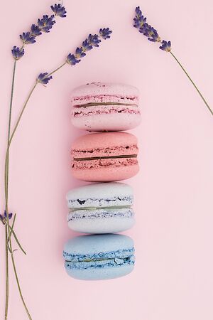 Beautiful pastel macaroons on the nice pink background with flowers of a lavender.の写真素材