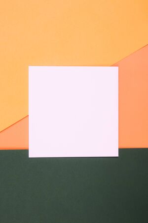 Empty pastel pink blank on a green, coral and orange background. Flat lay for your design. Trendy colors. Copy space.の写真素材