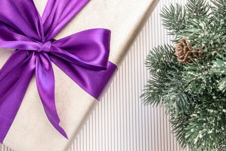 Gift in paper with violet ribbon and bow-knot, branches of spruce on a light background.の写真素材