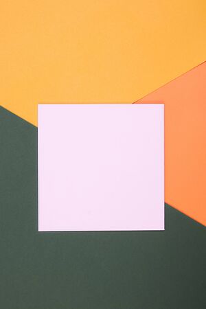 Flat lay with green, coral and orange colors and empty pastel pink blank. Flat lay for your design. Trendy colors.の写真素材