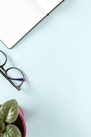 Notebook with white pages, glasses in a black cover, green flower on a blue background. Copy space.の写真素材