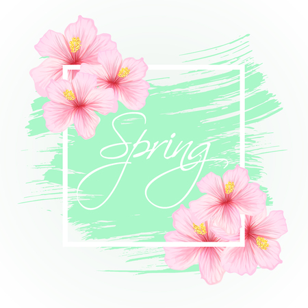Gibiscus pink beautiful flowers in blossom with Spring lettering and light green brush stroke, romantic and elegant floral card, hand drawn, vector illustration, white backgroundのイラスト素材