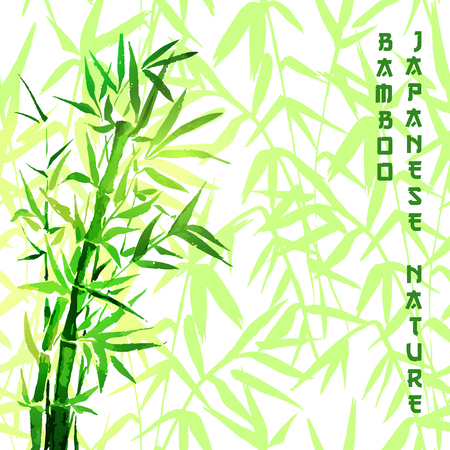 Bamboo green tree japanese plant or tree. Traditional sumi painting vector illustration for wallpaper or healthy terapy cosmetic products designのイラスト素材
