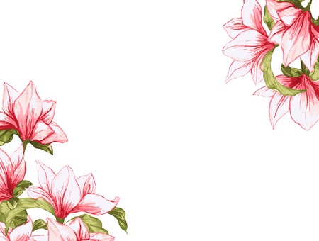 Magnolia flower festive card or poster, wallpaper or backdrop unique and elegant illustration isolated on white backgroundのイラスト素材