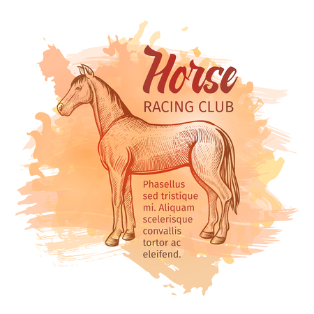Hand drawn sketch Horse. Horse Racing Club handdrawn background for advertising design. Vector vintage illustration with brown splashesのイラスト素材