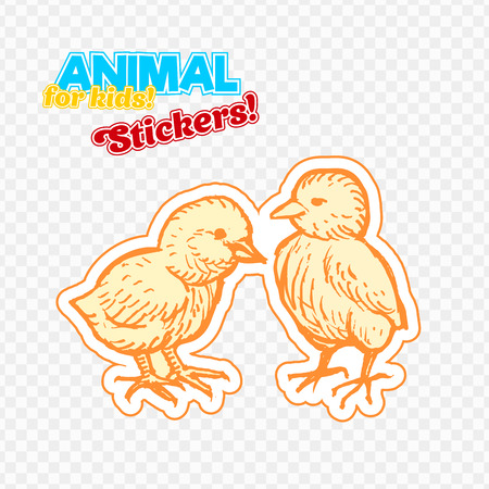 Farm animals chicken in sketch style on colorful sticker. Isolated on transparent background. Can be used for cute coloring book for children. Include silhouette for paper cuttingの写真素材