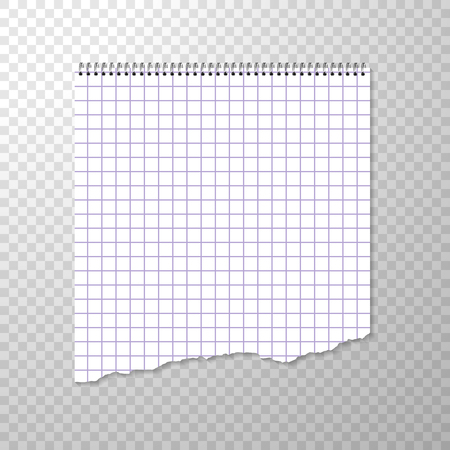 Torn Piece of Squared Paper from Spiral Bound Notebook. Clean or Blank Page Isolated on Transparent Background. Torn off Piece White Paper. Squared Album Page for Drawing or Artistic Sketches. Vector Illustration with Empty Binder Paperのイラスト素材