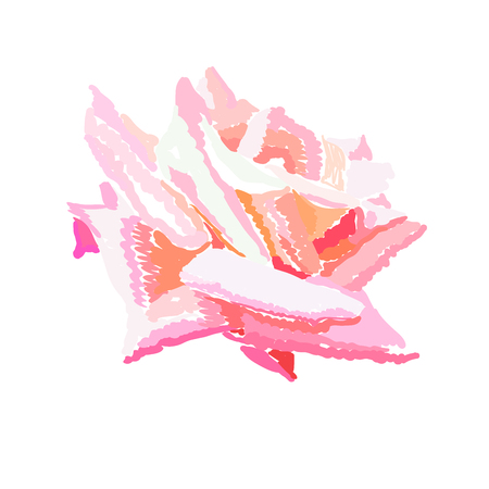 Pink rosebud watercolor design element. Hand drawn full-blown flower. Pink rose on white background. Garden flower. Greeting card, postcard, cover, poster floral template. Isolated color vectorのイラスト素材