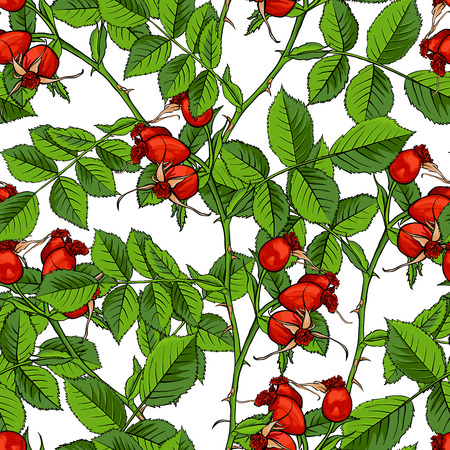 Dogrose Seamless Pattern, Luxury Wild Briar Rose. Rosehip Romance Fabric Textile Design with White Background for Wrapping Paper, Canker Rose Gift Bag and Bramble Packagingのイラスト素材