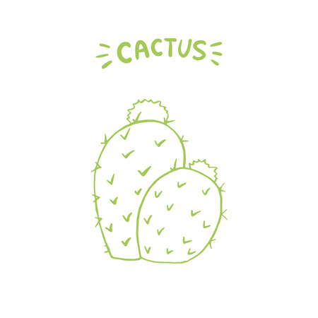 Mexican Cactus with Spines or Thorns and Flowers. Isolated Doodle Style Line Art Element for Coloring Book or Page Design. Edible Esculent Cacti Like Saguaro, Indian Fig or Mammillaria.のイラスト素材
