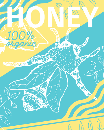 Poster with bee and fresh honey. Sketch honeycomb theme. Brochure cover for healthy nutrition market or shop, store with beeswax. Insects food retail themeのイラスト素材