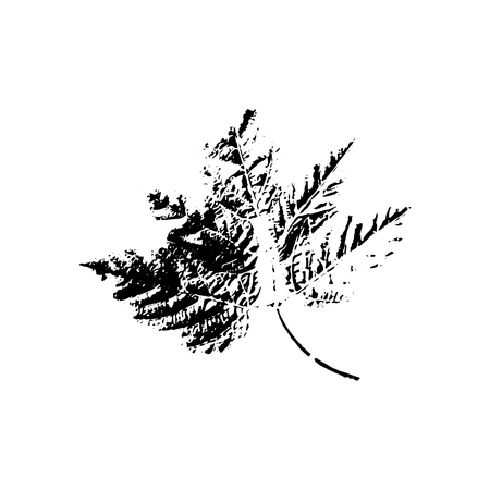 Black silhouette with leaf of tree. Single isolated clipart. Prints of leaves on branch. Flora and nature theme for paper cutting scrapbook designのイラスト素材