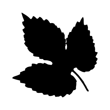 Black silhouette with leaf of tree. Single isolated clipart. Prints of leaves on branch. Flora and nature theme for paper cutting scrapbook designのイラスト素材