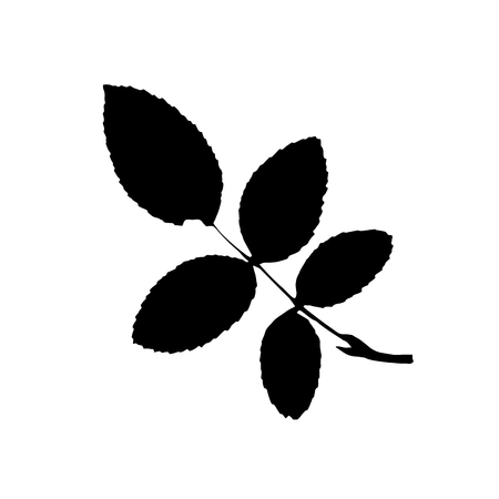 Black silhouette with leaf of tree. Single isolated clipart. Prints of leaves on branch. Flora and nature theme for paper cutting scrapbook designのイラスト素材