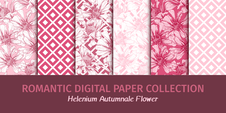 Wrapping or Wedding Digital Papers Collection. Romantic Pink Flowers Seamless Patterns for Valentines Day Holiday Decoupage. Vector Feminine Floral Wallpapers with Helenium Autumnale Flowerの写真素材