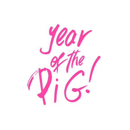 2019 Pink Hand drawn Lettering with Year of the Pig Slogan or Phrase. Isolated Brush lettering Scribbles. Use for Laser Cut and Christmas Gift Banner Design.の写真素材