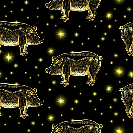 Glowing Night Pigs with Stars on the Black Background. Vector Seamless Pattern Illustration of the Symbol 2018 New Year by Chinese Calendarのイラスト素材