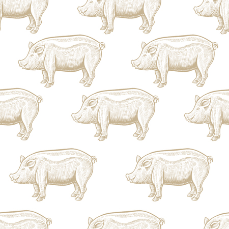 Symbol of 2018 year, chinese calendar. Pig engraving seamless pattern. Piggy farm animal hand drawn background. Realistic texture. Wallpaper design. Isolated vector illustrationのイラスト素材
