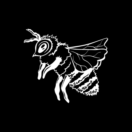 Honey Bee, Outline Logo Design. White Chalk Contour on the Black Chalkboard Background.のイラスト素材