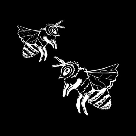 Black Vector Outline Sketch Of Two Honey Bees or Wasps. White Chalk Contour on the Black Chalkboard Background.のイラスト素材