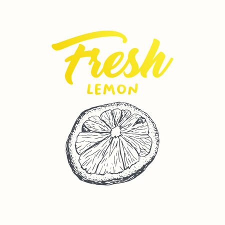 Fresh lemon vector banner template. Sketch fruit clipart. Sliced lemon engraving style drawing. Handwritten calligraphy, lettering. Isolated citrus color design element. Shop sign, store logoのイラスト素材