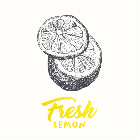 Fresh lemons vector banner template. Sketch fruit clipart. Sliced lemons engraving style drawing. Handwritten calligraphy, lettering. Isolated yellow citrus color design element. Shop sign, store logoのイラスト素材