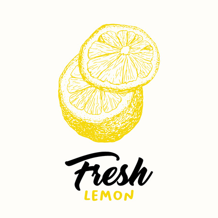 Fresh lemon vector illustration. Sketch fruit clipart. Handwritten lettering, calligraphy. Isolated yellow citrus color design element. Sliced lemon engraving style drawing. Shop sign, logoのイラスト素材