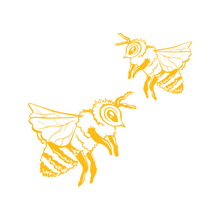 Two Honey Bee, Outline Logo Design. Isolated Vector. Yellow Engraved Element. Vintage Style Illustration of Flying Waspのイラスト素材