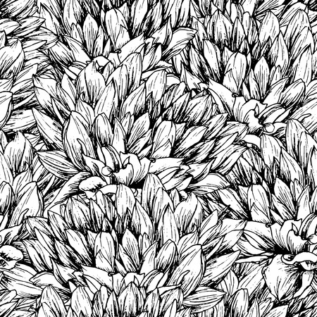 Peony Floral Pattern. Seamless Flower ink pen color texture. Sketch flowers black and white illustration. Chrysanthemums vintage freehand drawing. Sketched wallpaper or background vector fillのイラスト素材