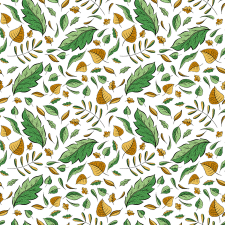 Autumn leaves hand drawn color seamless pattern. Oak, birch, walnut trees foliage vector illustration. Fresh green, autumnal yellow doodle leafage. Botanical wallpaper, textile, wrapping paper designのイラスト素材