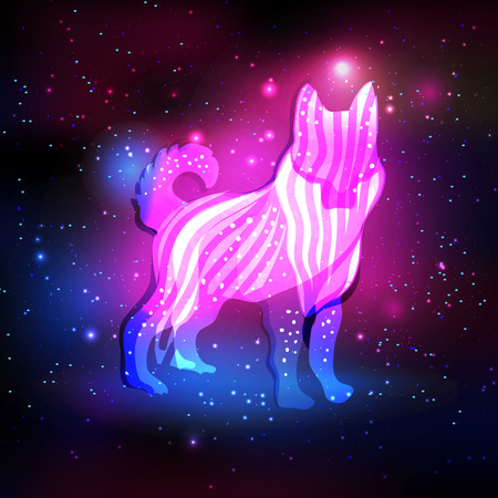 Magic dog on the night sky with lights and stars. Dog pink and blue silhouette hologram for postcards, greeting cardsのイラスト素材