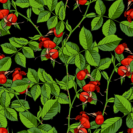 Dogrose Seamless Pattern, Luxury Wild Briar Rose. Rosehip Romance Fabric Textile Design with Black Background for Wrapping Paper, Canker Rose Gift Bag and Bramble Packagingのイラスト素材