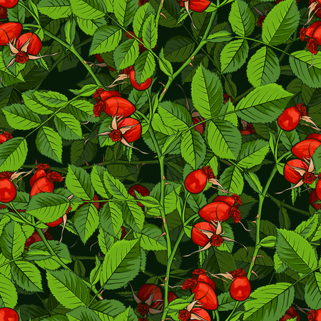 Dogrose Seamless Pattern, Luxury Wild Briar Rose. Rosehip Romance Fabric Textile Design with Black Background for Wrapping Paper, Canker Rose Gift Bag and Bramble Packagingのイラスト素材