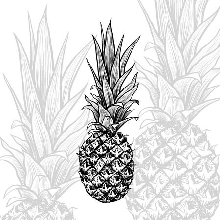 Pineapple hand drawn vector illustration. Tropical fruit ink pen sketch texture. Exotic plant monochrome clipart. Realistic freehand outline drawing. Greeting card, poster isolated design elementのイラスト素材