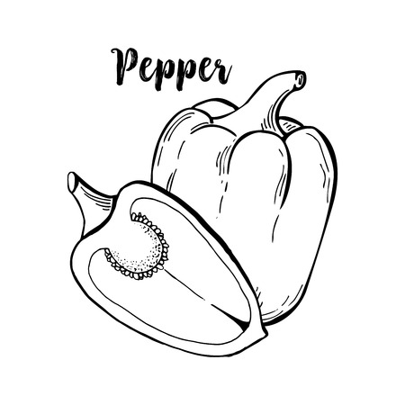 Sliced bulgarian or bell, sweet peppers in contour monochrome drawing. Natural isolated vegetable food or salad ingredient, seasoning.Vegetarian, vegan capsicum plant for organic marketのイラスト素材