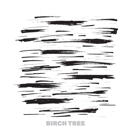 Birch Tree Bark Stains. Texture from artistic brush strokes. Abstract Nature Design for Wallpaper or T-shirt Prints. Vector illustrationのイラスト素材