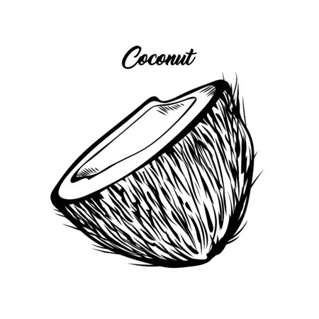 Coconut half black and white illustration. Fresh exotic food, tropical fruit with lettering. Delicious vegan dessert, natural palm tree fetus ink pen drawing. Banner, greeting card design elementのイラスト素材